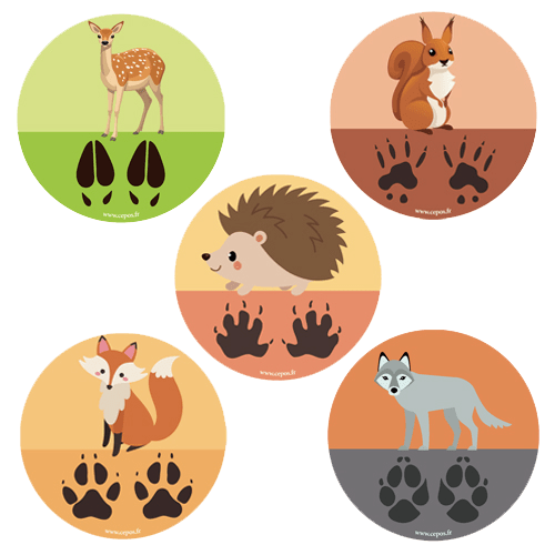 CEP Jeu de stickers empreintes d animaux 7010-25